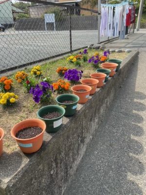 image1_2.jpeg
